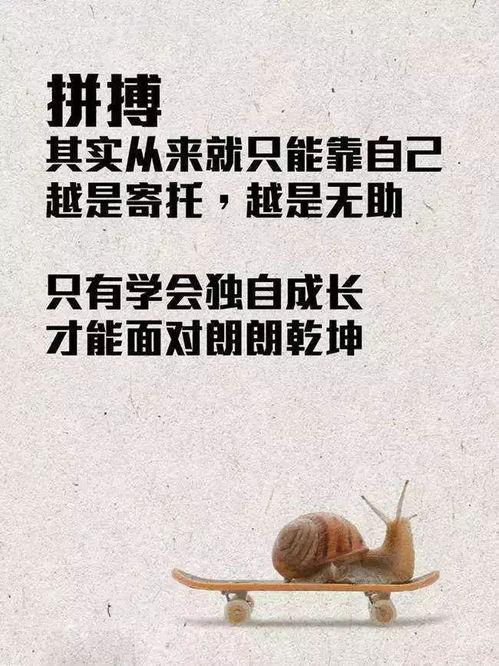 西安早安爆料新闻报道,聚焦城市最新动态与热点事件