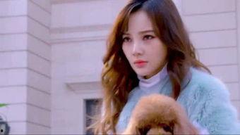 娱乐吃瓜直播讲故事视频,揭秘娱乐吃瓜背后的故事