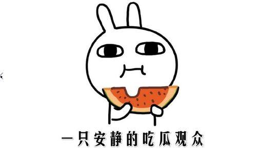 今天吃瓜是什么意思,网络热词背后的文化现象